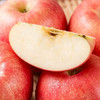 京鲜生烟台红富士苹果 净重5斤/12粒 单果190-240g 生鲜水果 商品缩略图0