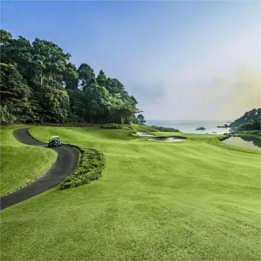 乐雅高尔夫俱乐部 Ria Bintan Golf Club | 民丹岛高尔夫 | 印尼高尔夫球场俱乐部 商品图2