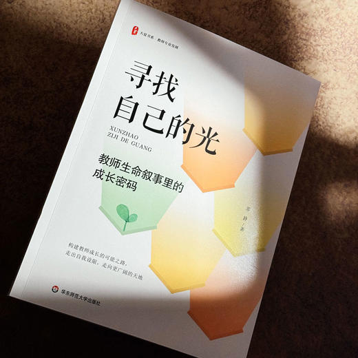 寻找自己的光 教师生命叙事里的成长密码 大夏书系 教师专业发展 苏静 商品图5