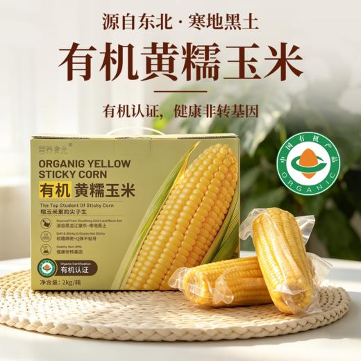 有机黄糯玉米 东北寒地黑土 有机认证 配料干净 软糯绵密 健康非转基因 商品图0