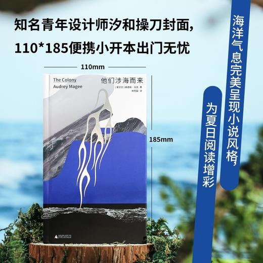 他们涉海而来（特雷弗和托宾的继承者！2022年布克奖提名作品，Goodreads近万人评分4.12，一曲来自爱尔兰的温柔哀歌，完美适配夏日阅读） 商品图3