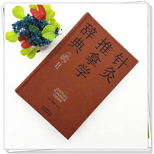 针灸推拿学辞典 实用中医辞典系列 梁繁荣 任玉兰 涵盖中医经典理论中药方剂中医临床各科中医文献针灸推拿等学科中国中医药出版社 商品图2