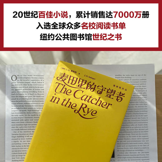 麦田里的守望者 JD塞林格作品集  理想主义者之书 商品图3