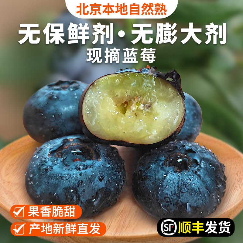 密云花香蓝莓L25每日现摘  125gx4盒 自然熟 无膨大剂  酸甜爆汁