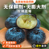 密云花香蓝莓L25每日现摘  125gx4盒 自然熟 无膨大剂  酸甜爆汁 商品缩略图0