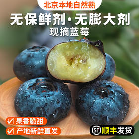 密云花香蓝莓L25每日现摘  125gx4盒 自然熟 无膨大剂  酸甜爆汁