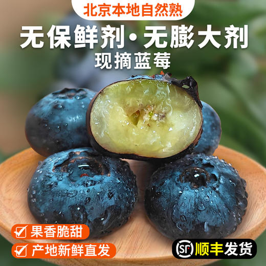 密云花香蓝莓L25每日现摘  125gx4盒 自然熟 无膨大剂  酸甜爆汁 商品图0
