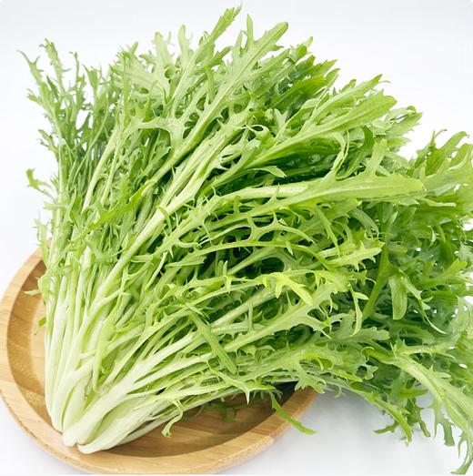 【QT】新鲜蔬菜苦菊 商品图0