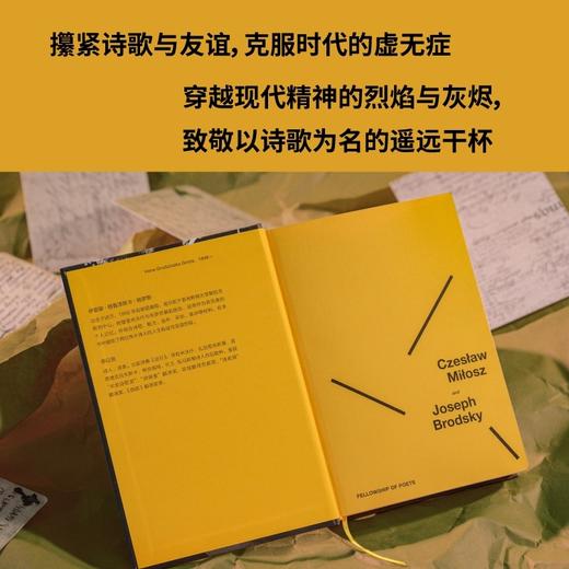 米沃什与布罗茨基：诗人的友谊（20世纪文学的伟大双子星，两位诺奖诗人的交叉传记。波兰文学教授、二人密友，以独家记忆和一手资料写就诗 商品图4