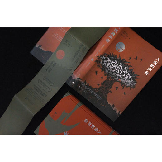 入夜的声音（诺奖热门候选人米亚·科托 卡蒙斯文学奖得主 与萨拉马哥同等殊荣 2014年击败村上春树获纽斯塔特文学奖） 商品图4