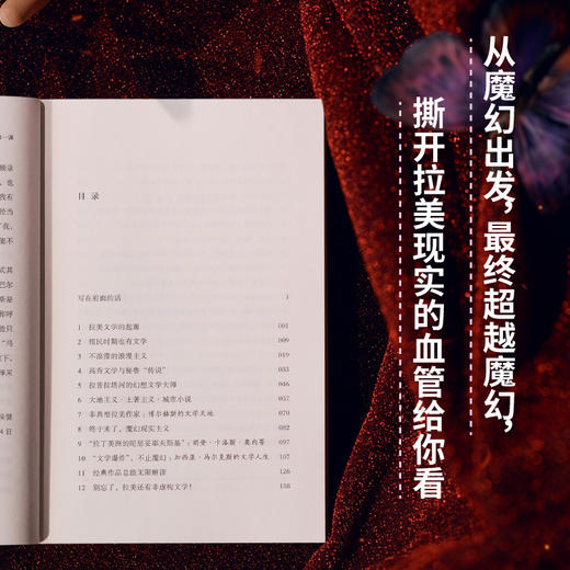不止魔幻：拉美文学第一课（邱华栋、陈众议、范晔、滕威、张伟劼、陈楸帆等诚意推荐；马尔克斯《我们八月见》译者的拉美文学阅读指南） 商品图1