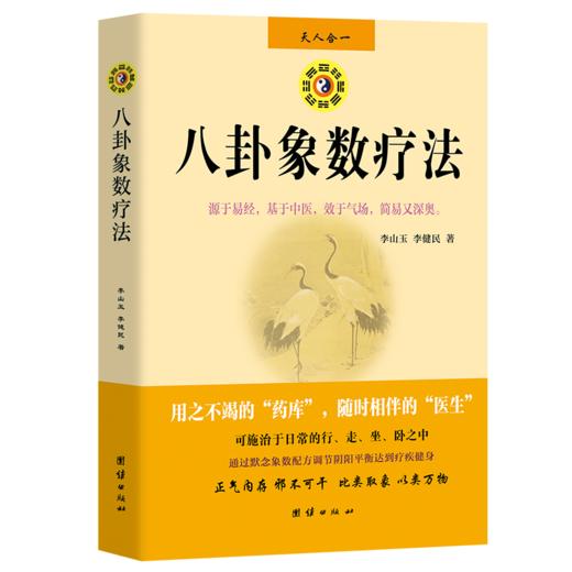八卦象数疗法 商品图0