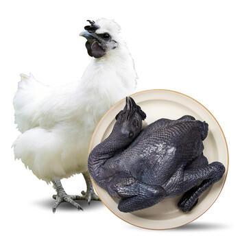 京东跑步鸡 白凤乌骨鸡 2斤 120天乌鸡走地鸡月子餐鸡汤滋补散养土鸡 商品图3