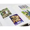 松露寻踪：顶级食材背后的科学、文化与秘闻(自然文库) 商品缩略图6