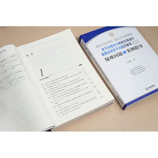 【签名版】最高人民法院 最高人民检察院关于办理贪污贿赂刑事案件适用法律若干问题的解释（二）疑难问题与案例指导    王晓东著 商品图3