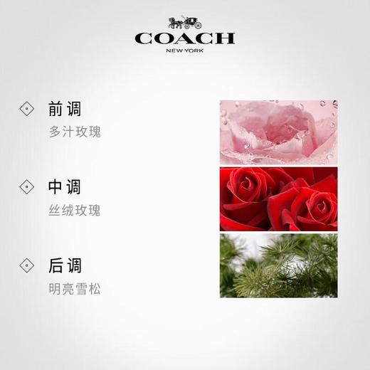 COACH/蔻驰以爱之名女士香水花果香调90ml 商品图2