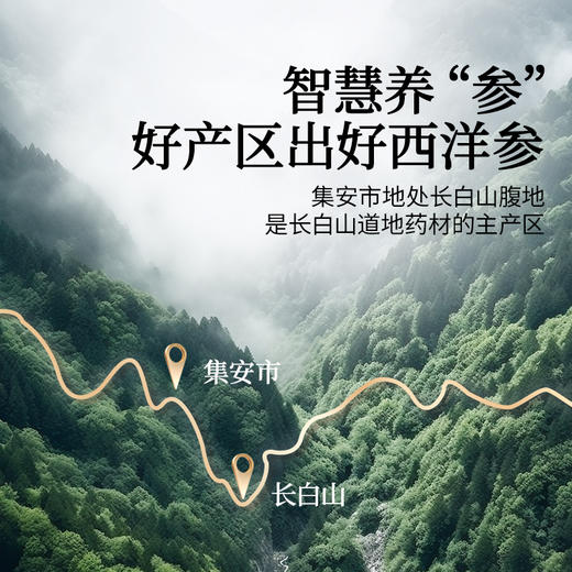 【618会员提前购】北京同仁堂西洋参切片70g 长白山严选 商品图3
