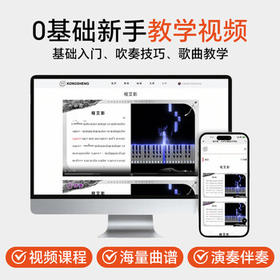 孔声（KONGSHENG）口风琴学生儿童课堂教学成人37键专业专用演奏级乐器 F-37PRO黑色