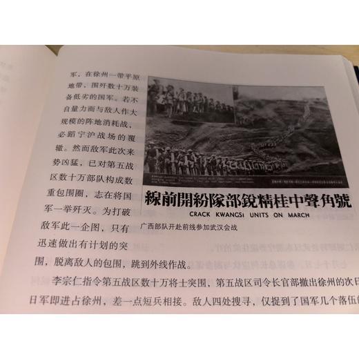 桂系演义（增补版）（全四册） 商品图7