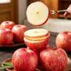 京鲜生 烟台红富士苹果 净重5斤 单果190g起 生鲜水果 商品缩略图3