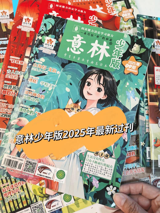 2025年《意林小国学》1-12月/《意林·少年版》2025年24期，两个规格任选！ 商品图3