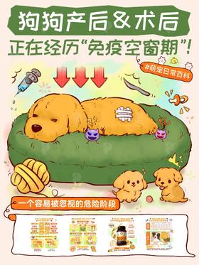 【科普小知识】🆘狗狗产后&术后免疫空窗期|保养指南码住