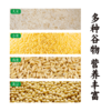 谦益杂粮煎饼100g/包（1包2张饼）薄软香甜 健康美味 万食可卷 可做主食 早餐 下午茶 零食 旅行等能量补充 商品缩略图5