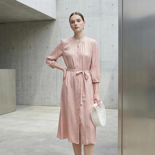 PALUOPO/PL蚕丝收腰显瘦桑波缎提花立领连衣裙ES250330Z 商品图1