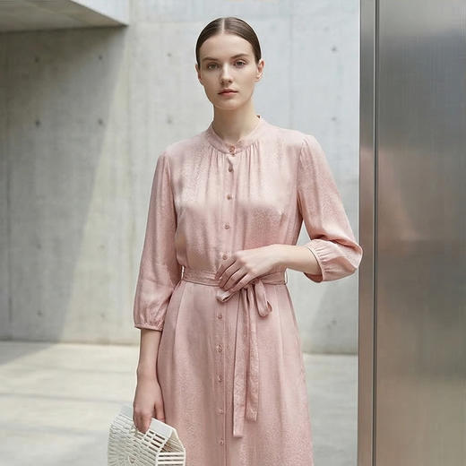 PALUOPO/PL蚕丝收腰显瘦桑波缎提花立领连衣裙ES250330Z 商品图4