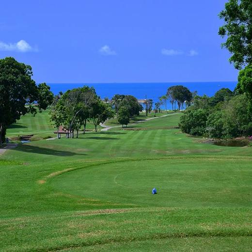 民丹泻湖高尔夫俱乐部 Bintan Lagoon Golf Club | 民丹岛高尔夫 | 印尼高尔夫球场俱乐部 商品图1