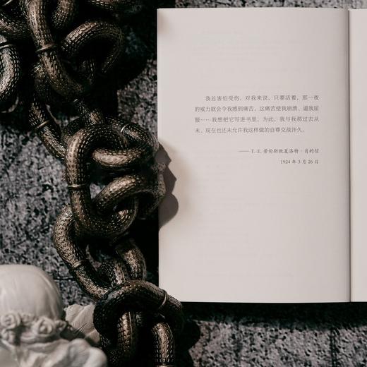 被盯上的男孩：夺回被偷走的童年（那个好人困住了我，接着撕碎了我的心。渺小一生，更应勇敢，撕掉羞耻，直面黑暗，重新养育内心的无辜小孩 商品图7