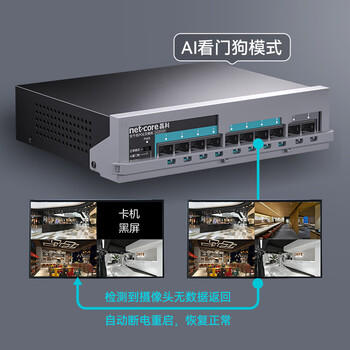 磊科（netcore）SG2010P 10口千兆8口供电POE交换机 企业级家用宿舍监控网络网线分线器 兼容百兆（新老版本混发） 商品图2