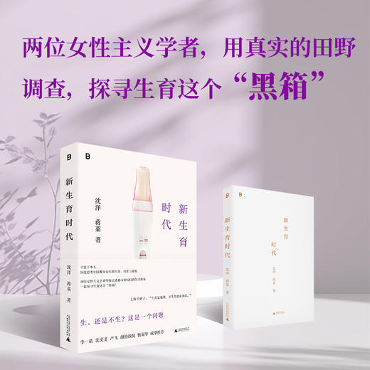 新生育时代 （家庭才是权力斗争最隐蔽的场所！从性别视角聚焦生育问题，直面中国女性的困境，揭开婚后生活的真相！ 李一诺、沈奕斐、严飞、颜怡颜悦、杨菊华诚挚推荐！） 商品图3