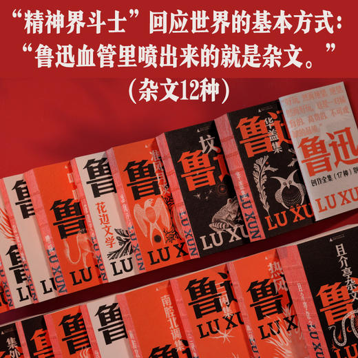  鲁迅全集 （全套17种） 商品图6