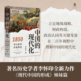 大学问·中国的现代化：1850年以来的历史轨迹  李怀印/著