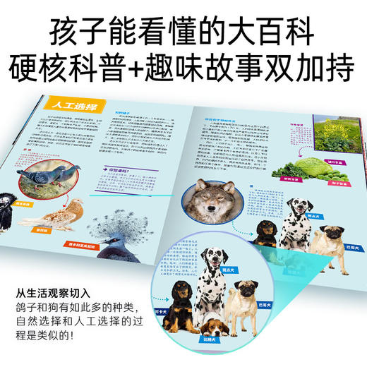 【9岁+】德国少年儿童进化大百科精装十万个为什么大百科全书科普书探寻生物进化的证据专业硬核科普覆盖中小学生物知识点 商品图3