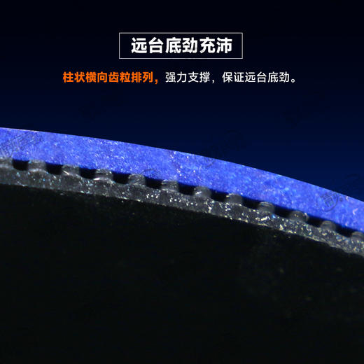 Palio拍里奥霸王pro乒乓球胶皮正反手弧圈快攻型反胶套胶 商品图2