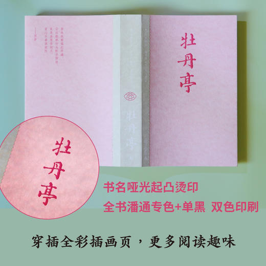 牡丹亭（东方美学巅峰，白先勇挚爱；经典戏画，全本一字未删，专家详注+名师导读，全年龄无障碍阅读） 商品图5