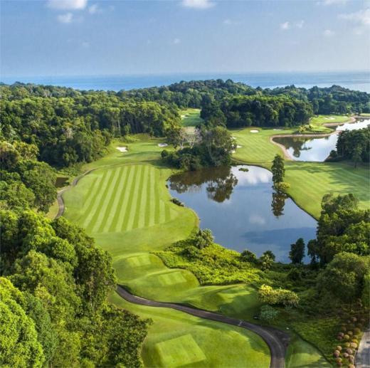 乐雅高尔夫俱乐部 Ria Bintan Golf Club | 民丹岛高尔夫 | 印尼高尔夫球场俱乐部 商品图1