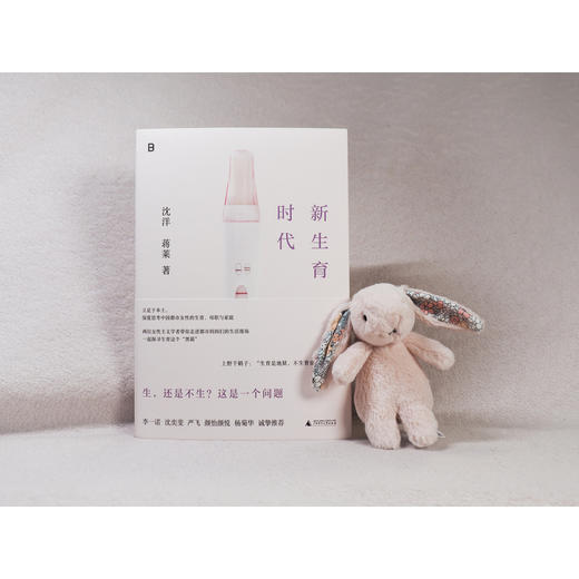 新生育时代 （家庭才是权力斗争最隐蔽的场所！从性别视角聚焦生育问题，直面中国女性的困境，揭开婚后生活的真相！ 李一诺、沈奕斐、严飞、颜怡颜悦、杨菊华诚挚推荐！） 商品图5