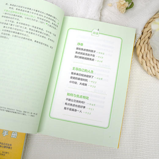 我也曾焦虑：青少年焦虑自救手册 商品图4