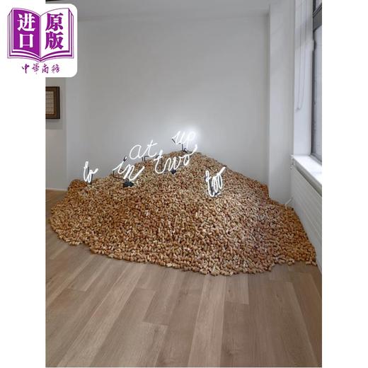 【中商原版】简·亨德里克斯：薄荷 英文原版 Jan Henderikse: Mint 商品图2