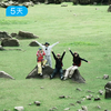 向野而生｜一起去贵州撒野！5日，轻奢酒店、花样户外 商品缩略图1