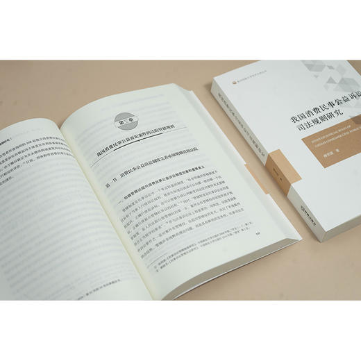 我国消费民事公益诉讼司法规则研究 傅贤国著 法律出版社 商品图2