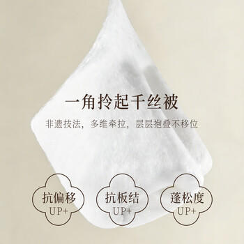 慈云云之梦蚕丝被 100%桑蚕长丝A类优等品春秋被子4.6斤2.2*2.4m 商品图1