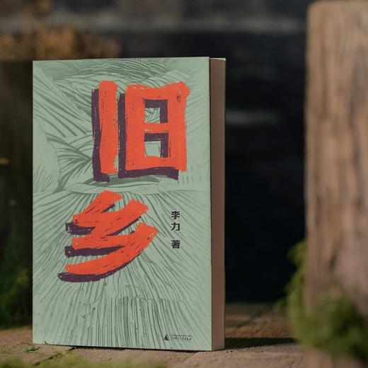 旧乡（《翦商》作者李硕作序推荐，理解农耕社会经验，才能理解我们的先祖。一个普通华北村庄五六十年代的风土人情） 商品图1