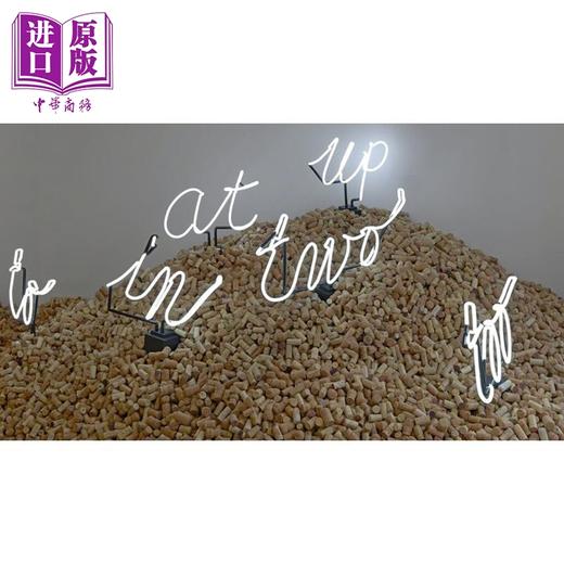 【中商原版】简·亨德里克斯：薄荷 英文原版 Jan Henderikse: Mint 商品图1