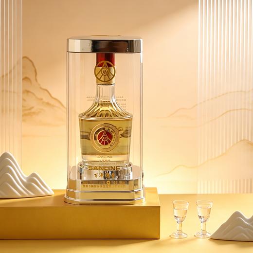 【年中补贴，赠礼袋】五粮液总厂出品：百年传奇·金马，52°白酒，支持扫码验真伪，亚克力经典包装 商品图2