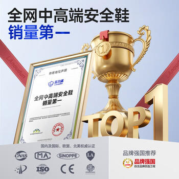 蓝鸥盾劳保鞋男士夏季透气防滑防砸防刺钢包头安全工作焊工鞋DL1122N 41 商品图1