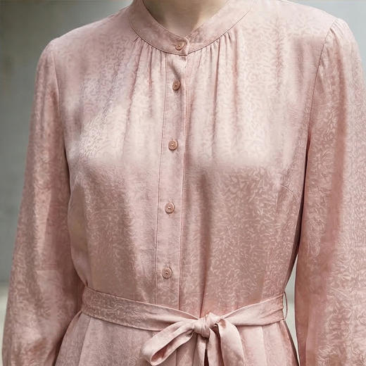 PALUOPO/PL蚕丝收腰显瘦桑波缎提花立领连衣裙ES250330Z 商品图3